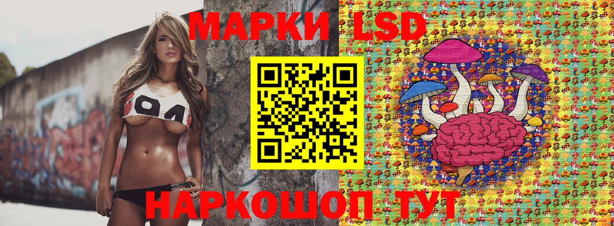 Новозыбков  наркотики  Вход с VPN  Марки 25I-NBOMe 1,5мг  Марки N-bome 