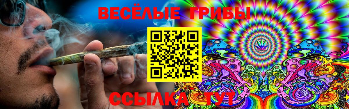 Галлюциногенные грибы мицелий Новозыбков