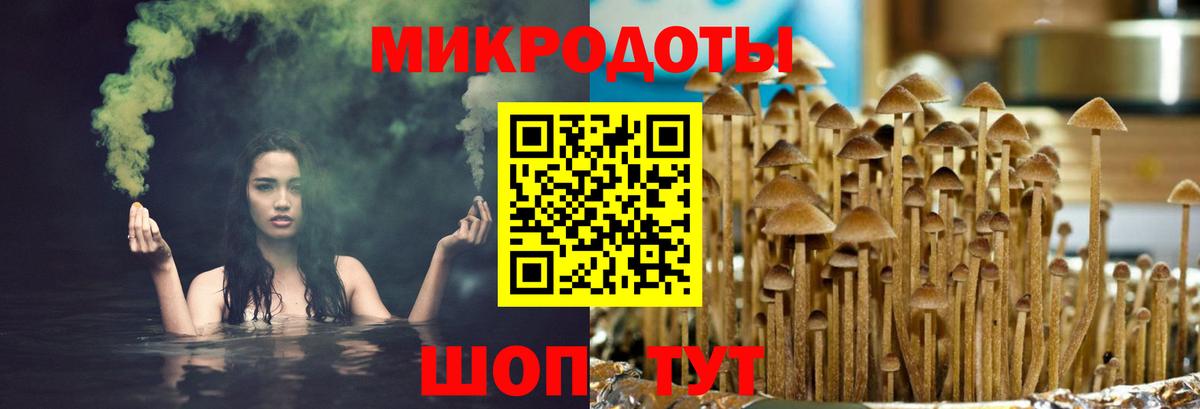 Псилоцибиновые грибы прущие грибы  Вход с VPN  Новозыбков  Псилоцибиновые грибы мухоморы 